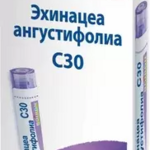 Эхинацея ангустифолиа С30 (Эхинацеа) (гранулы гомеопатические 4 г  пенал со счетчиком гранул) БУАРОН Франция
