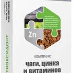 Комплекс Чаги, Цинка и Витаминов Антиоксидант (капсулы 380 мг №30) ВТФ ООО - Россия