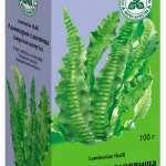 Ламинарии слоевища (Морская капуста) (100 г)