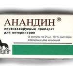 Анандин (раствор 10% - 2 мл ампулы N3) Россия НИО "Медитэр", Санкт-Петербург