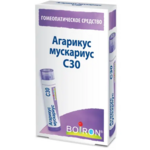 Агарикус мускариус C30 (гранулы гомеопатические 4 г  пенал со счетчиком гранул (1)) БУАРОН Франция
