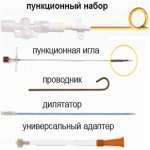 Комплект для чрескожной (перкутанной) нефростомии RP-400850 (8F/340мм, срок установки 365 дней, фосфорилхолиновое покрытие) Уротек ГмбХ (UROTECH) - Германия