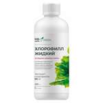 Будь Здоров! Green Грин Хлорофилл форте жидкий вкус малины и мяты (450 мл) Архангельский водорослевый комбинат ООО-Россия