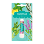 Карандаш для ароматерапии на основе эфирных масел (1,3 г) Аспера ПК ООО - Россия