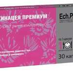 Эхинацея Премиум (капсулы 450 мг №30) ВТФ ООО - Россия