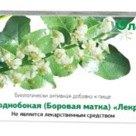 Боровая матка (Ортилия однобокая) БАД (фильтр- пакет 1,5 г N20) Лекра-Сэт ООО (г. Барнаул) - Россия