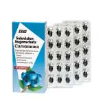 Салювижн (капсулы N45) Салюс-Хаус ГмбХ (Salus-Haus Gmbh) - Германия