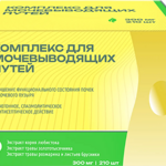 Растительный комплекс для мочевыводящих путей (таблетки 300 мг №210) Green Side Грин Сайд ООО-Россия
