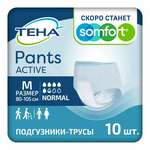 Трусы-подгузники для взрослых Тена Пэнтс Актив Нормал (TENA Active Normal Pants) (размер M (80 - 105 см) №10 (5,5 капель)) AAB (CHINA) Co LTD ААБ Китай К.