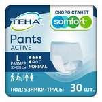 Трусы-подгузники для взрослых Тена Пэнтс Актив Нормал (TENA Active Normal Pants) (размер L (95 - 120 см) №30 (5,5 капель)) AAB (CHINA) Co LTD ААБ Китай К.