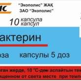 Бифидумбактерин (капсулы 5 доз № 10) Экополис ЗАО (г. Ковров) Россия